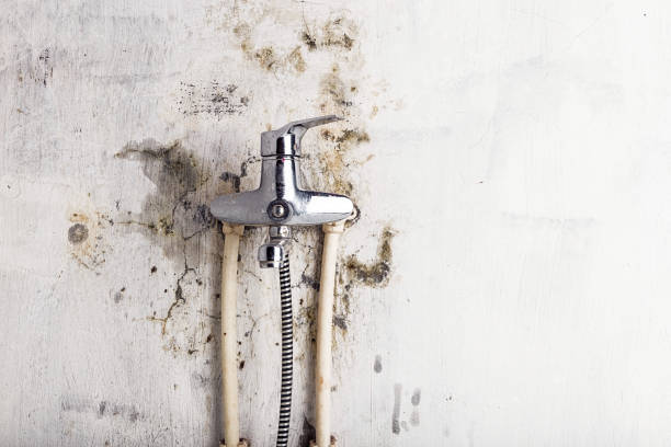 Best Health and Safety Mold Remediation in South Hutchinson, KS